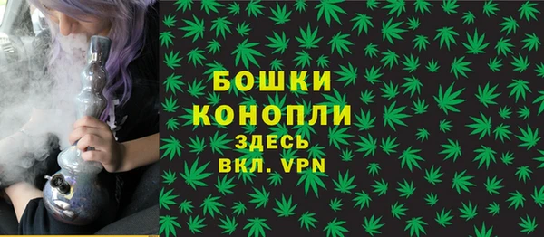 мдпв Бугульма